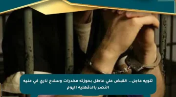 تنويه عاجل.. القبض على عاطل بحوزته مخدرات وسلاح ناري في منية النصر بالدقهلية اليوم